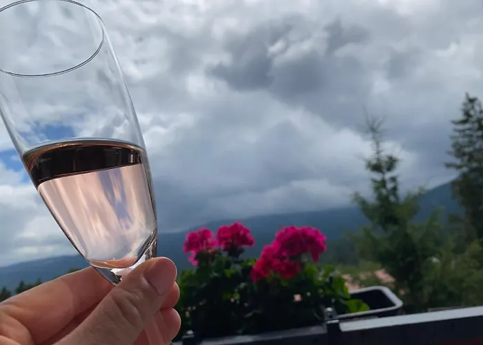 Sonata - & Balia - 4* Szklarska Poręba