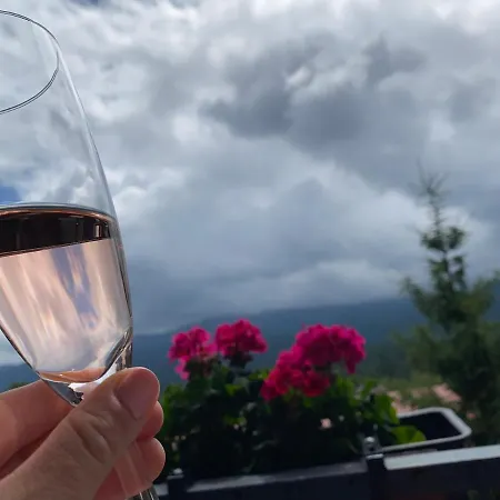 Sonata - & Balia - 4* Szklarska Poręba